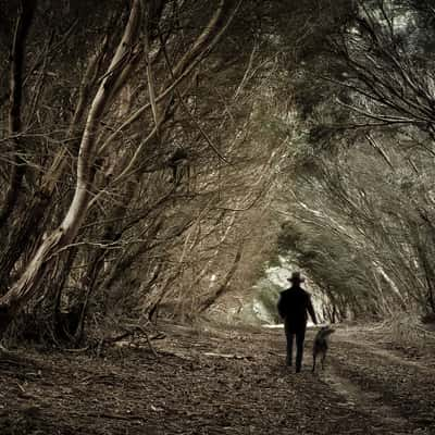 Cape Willoughby Conservation Park, Australia