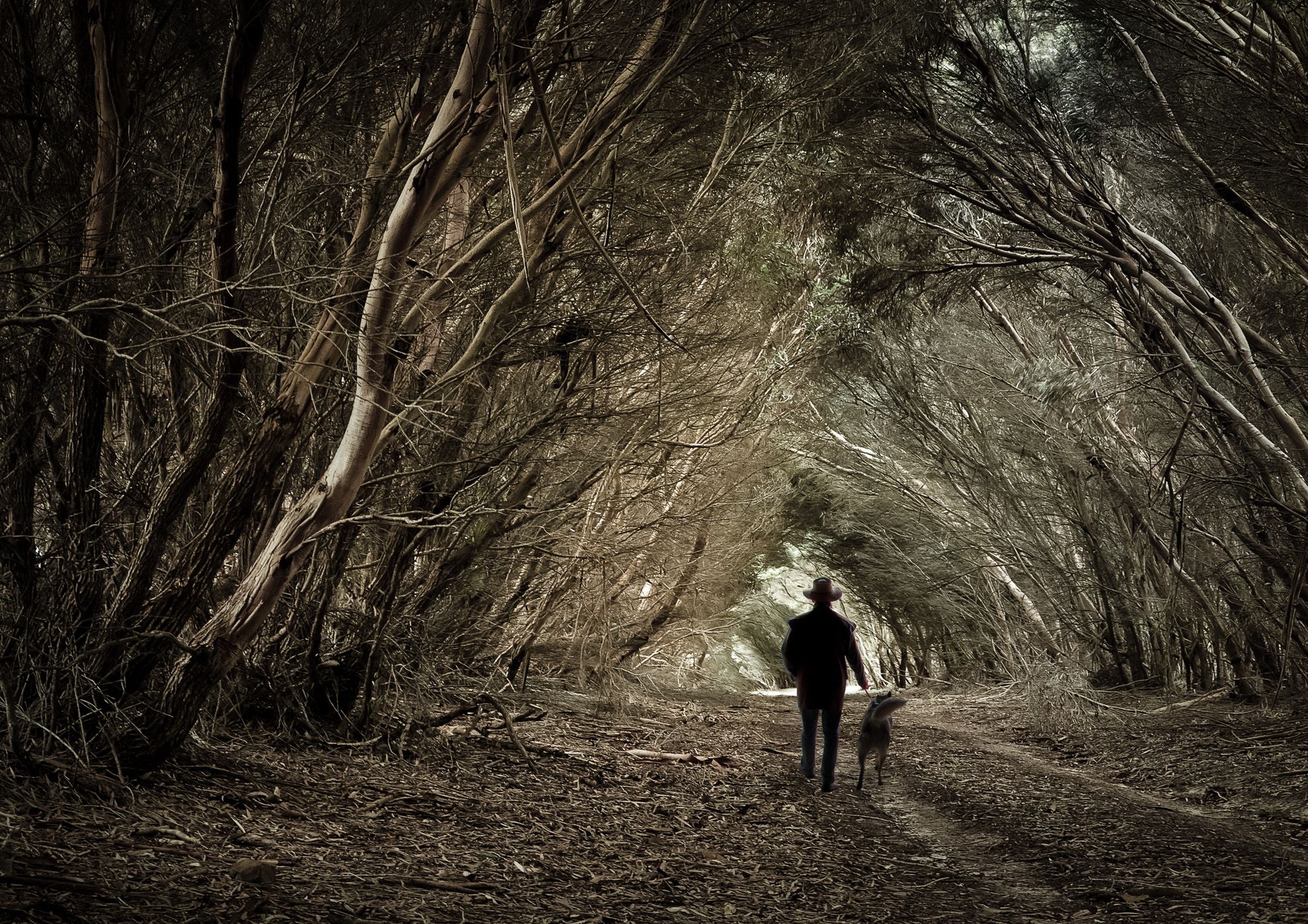 Cape Willoughby Conservation Park, Australia