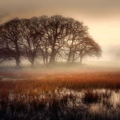 Derwent Water, Lake District National Park, United Kingdom