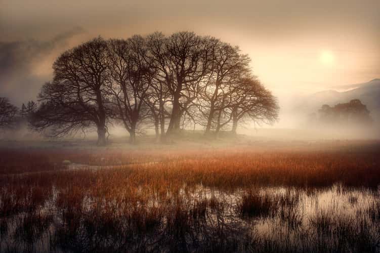 Derwent Water, Lake District National Park