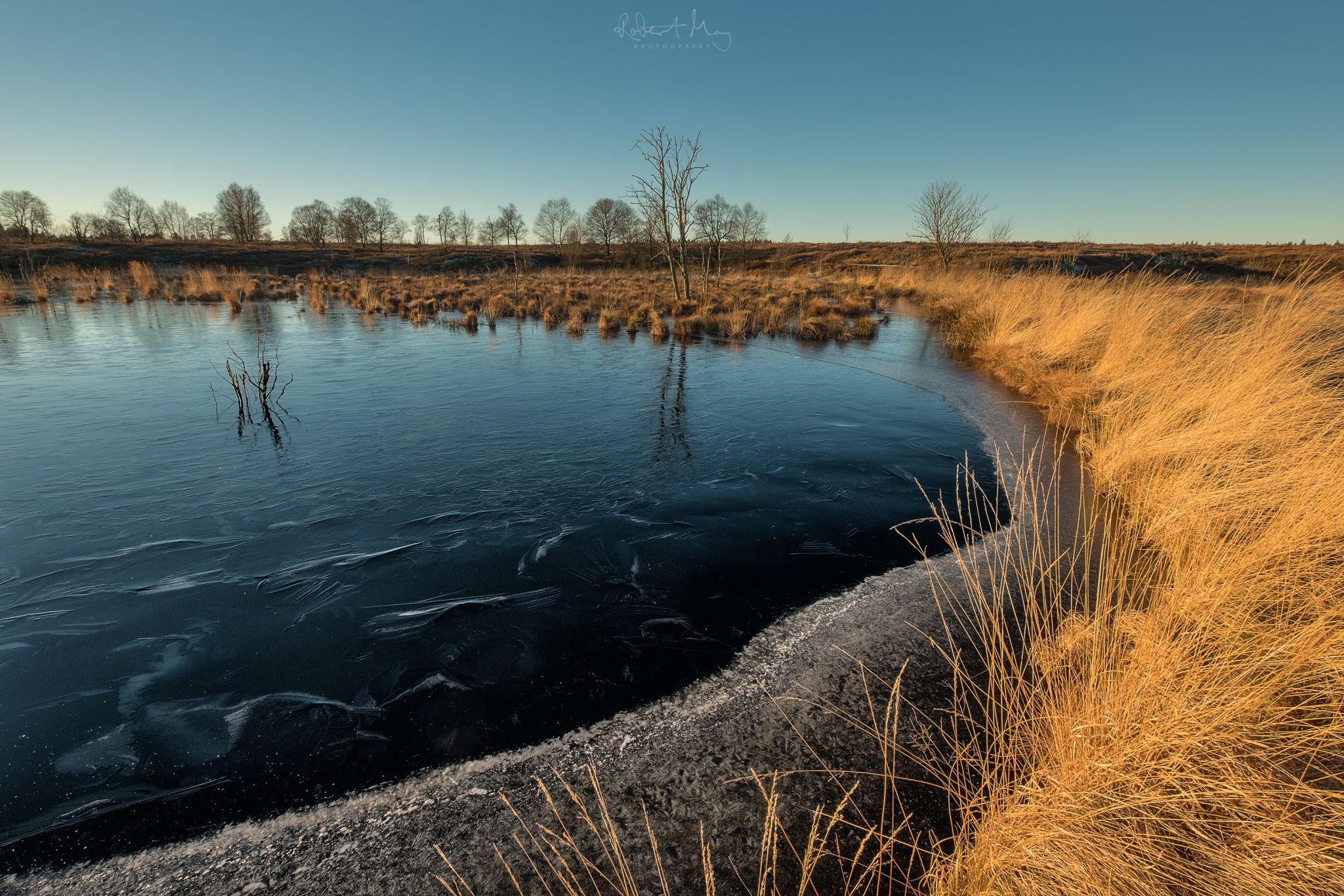 Hautes Fagnes - Dead Tree Lake, Belgium