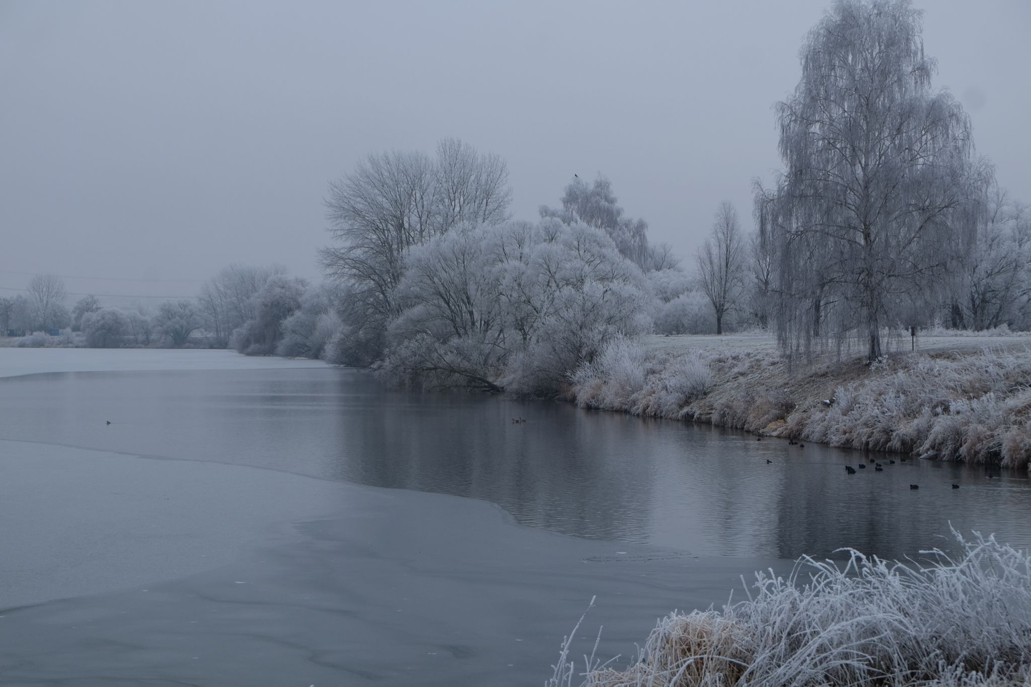 Heuchelheimer Seen, Germany
