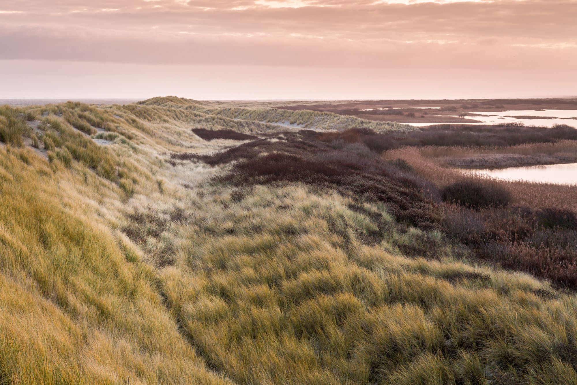 Dunes, Netherlands