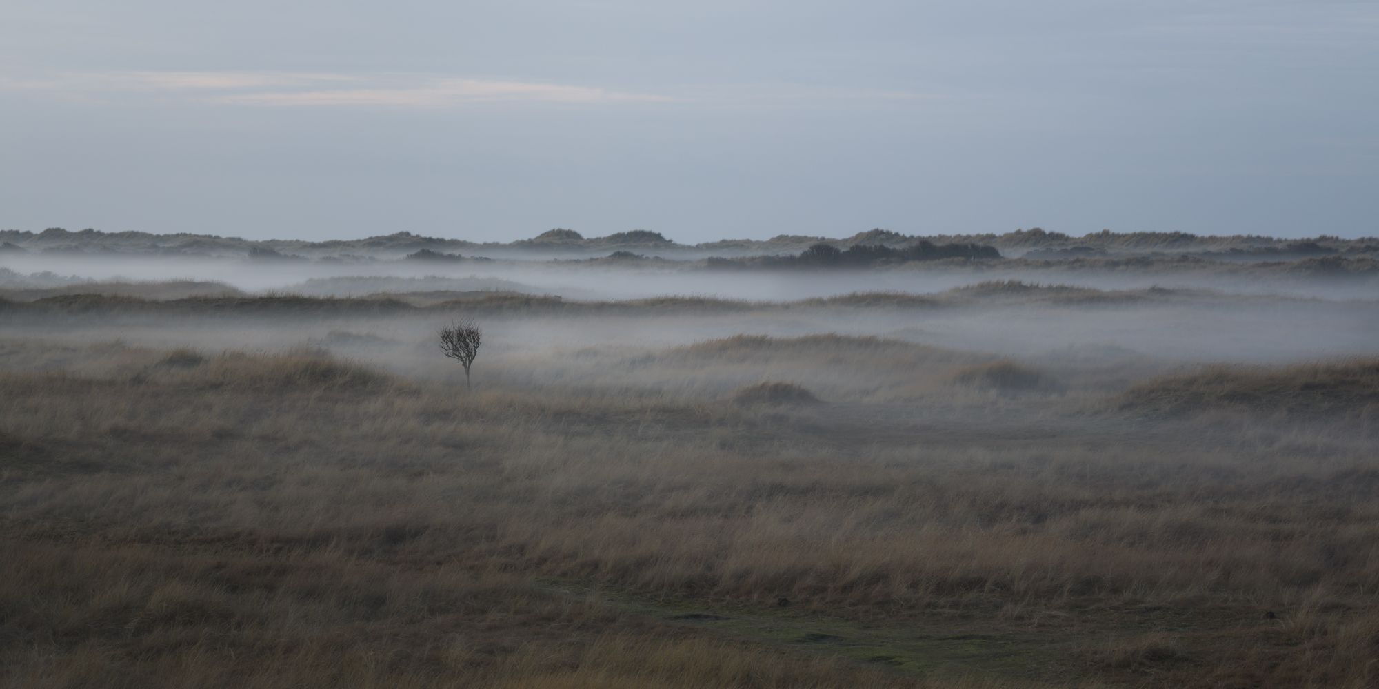 Dunes, Netherlands