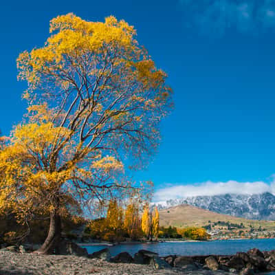 Lake Wakatipu, New Zealand