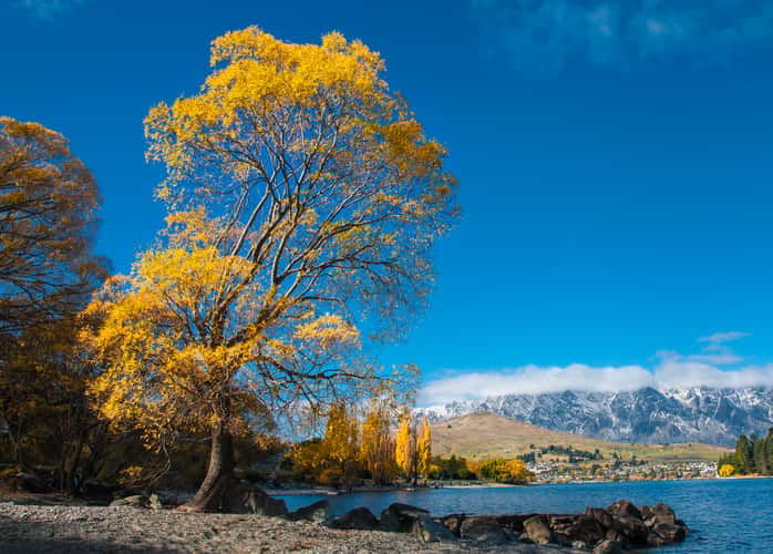 Lake Wakatipu