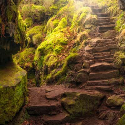 Lud's Church, United Kingdom