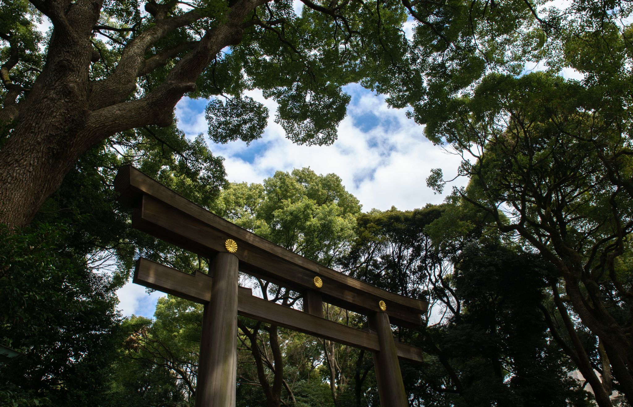 Meiji Shrine, Tokyo, Japan