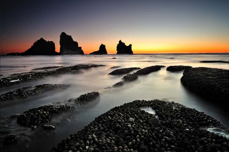 Motukiekie Rocks, West Coast New Zealand