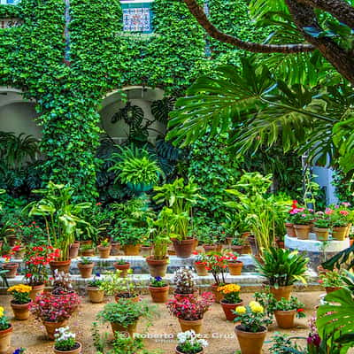 Patios de Seville, Spain