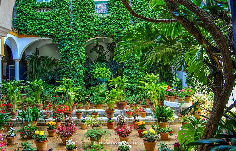 Patios de Seville