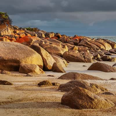 Pink Bay, Australia