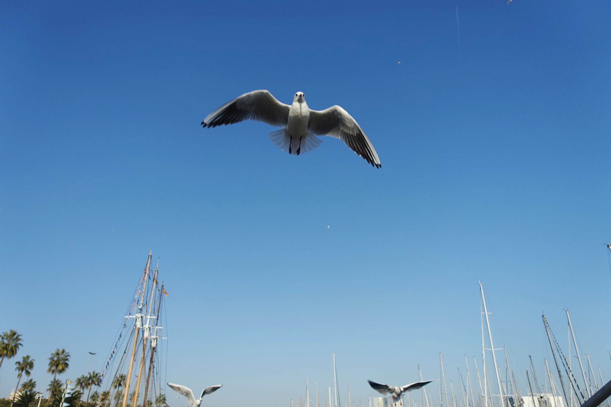 Port de Barcelona, Spain