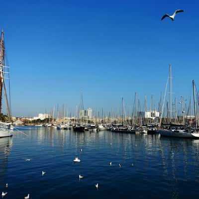 Port de Barcelona, Spain