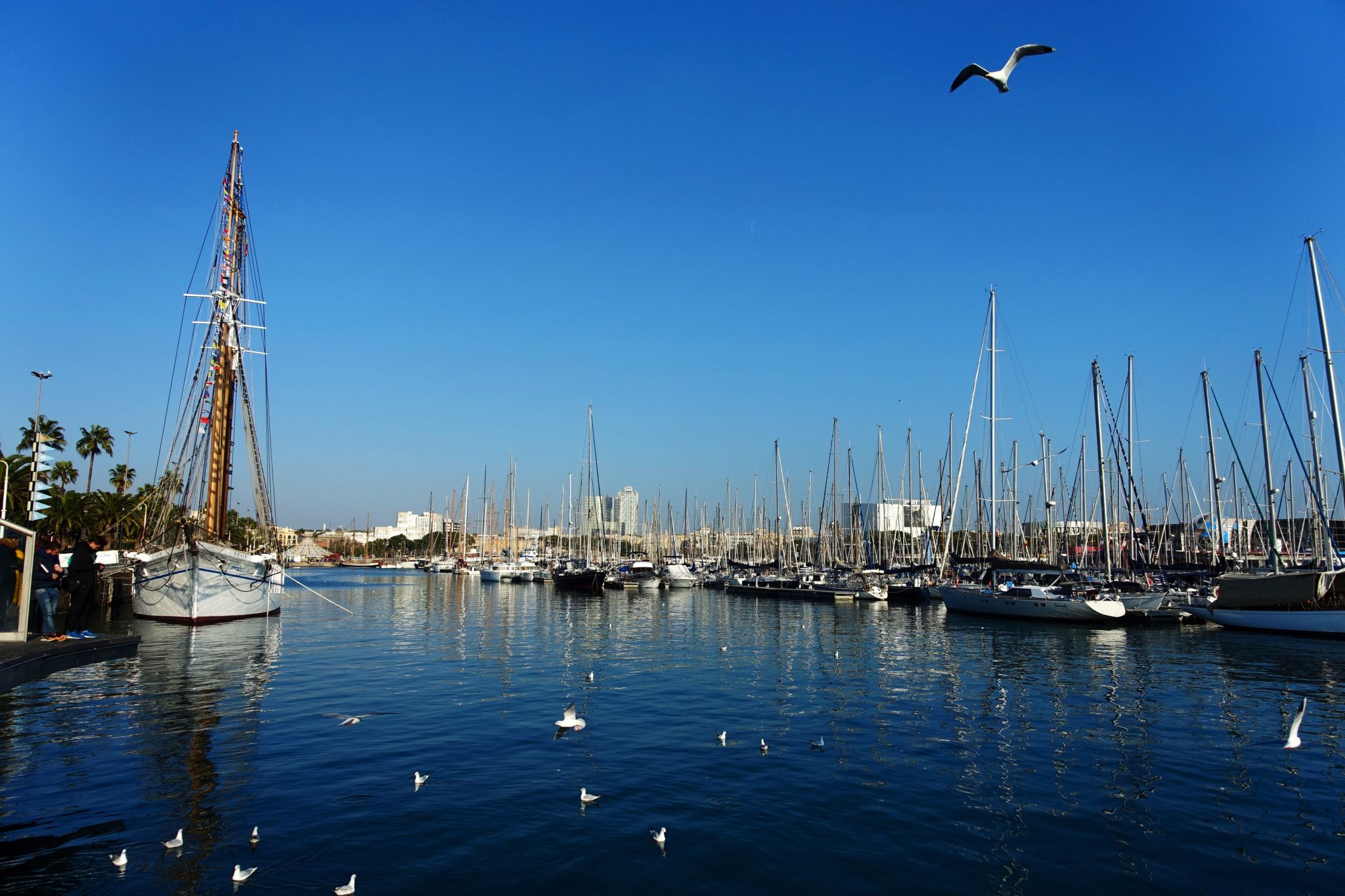 Port de Barcelona, Spain