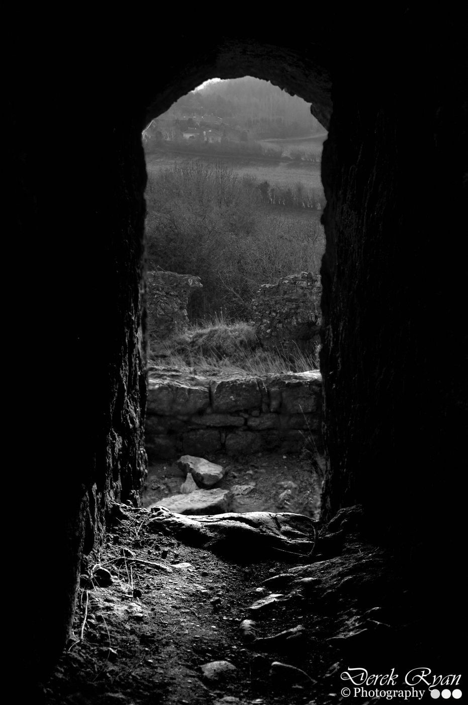 Rock of Dunamase, Ireland