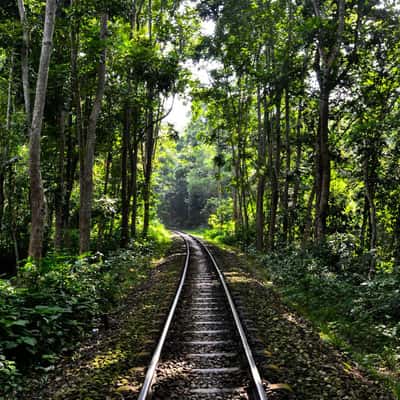 Sreemangal, Bangladesh