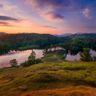 Tarn Hows, Lake District National Park, United Kingdom