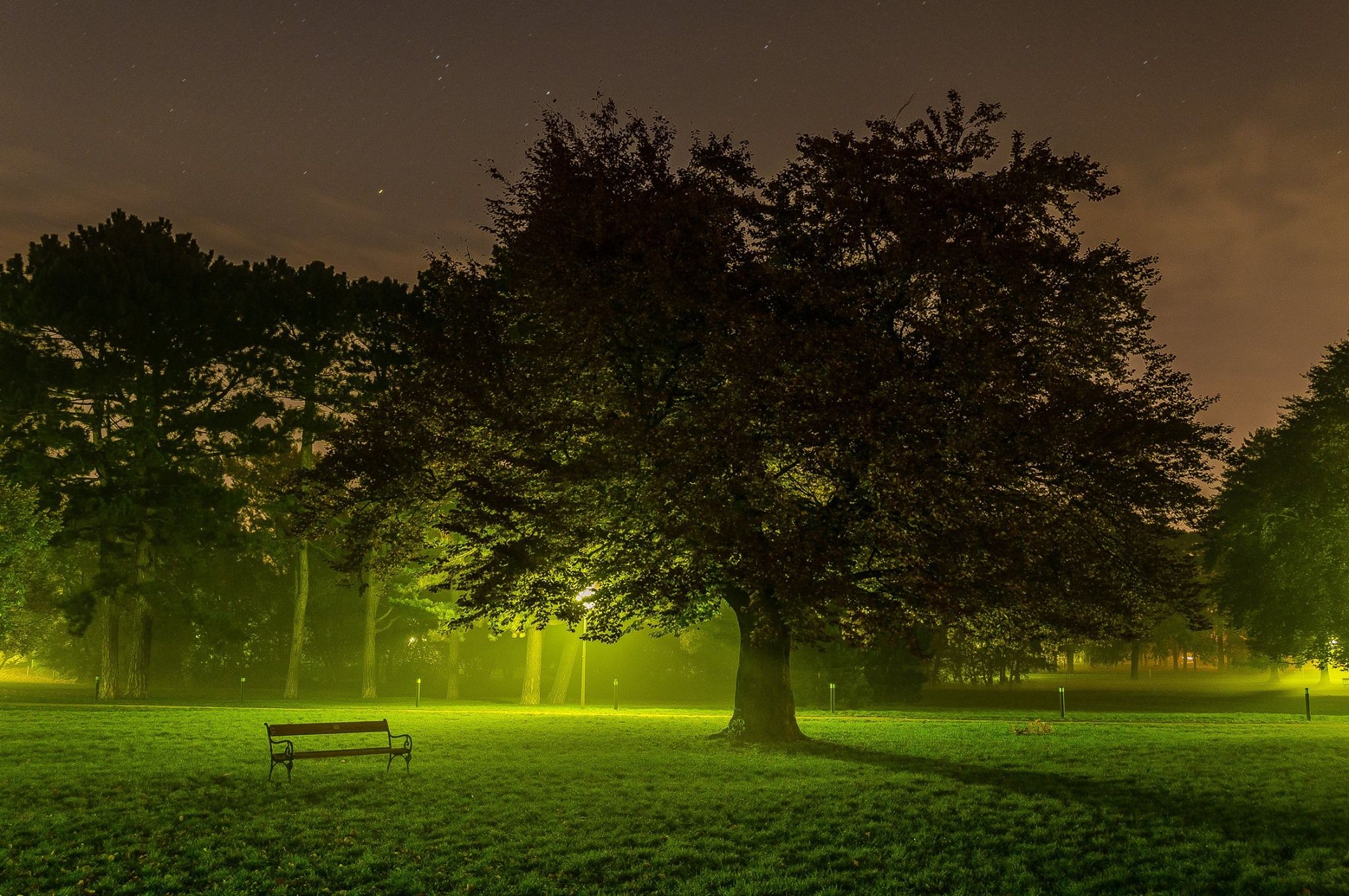 That light in the park, Austria