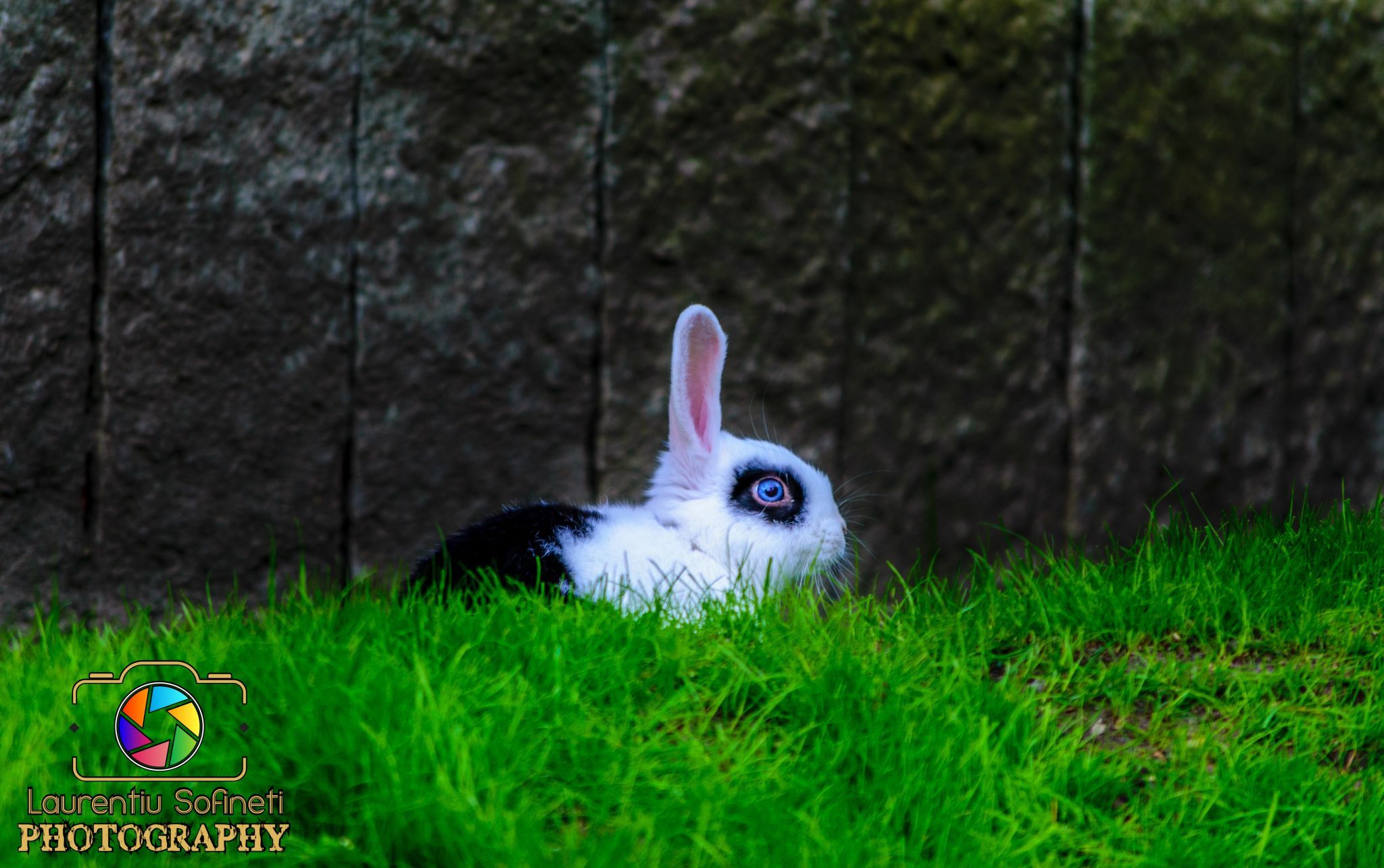 Tierpark Bochum, Germany