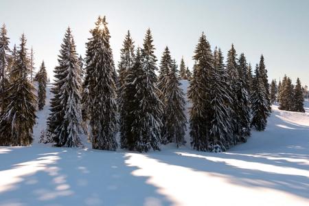 Winter in Apuseni Mountains