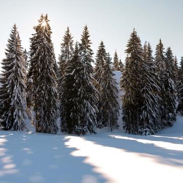Winter in Apuseni Mountains, Romania