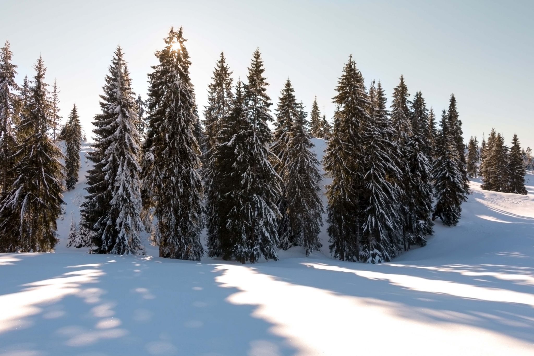 Winter in Apuseni Mountains, Romania