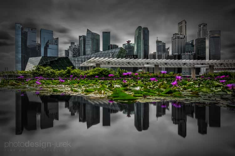Singapore Skyline