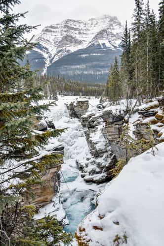 Athabasca Falls
