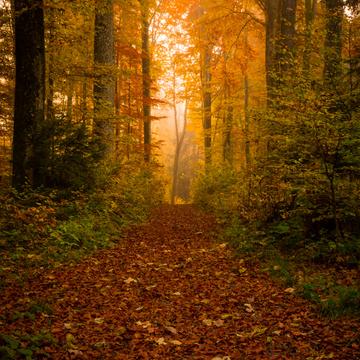 Autumn mood, Germany