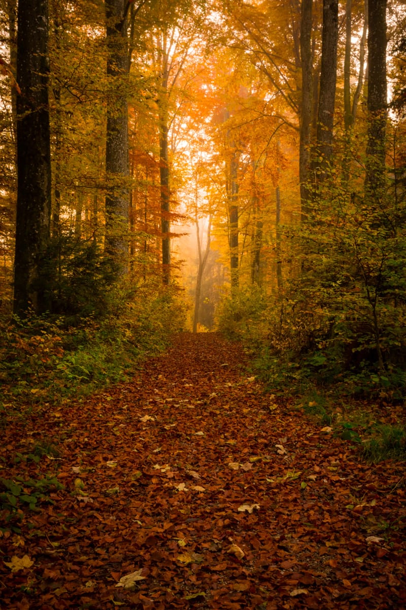 Autumn mood, Germany