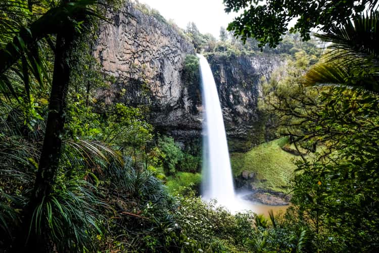 Bridal Veil Falls (Waikato)