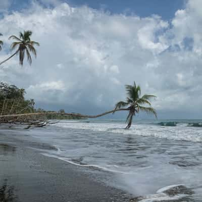 Cahuita National Park, Costa Rica