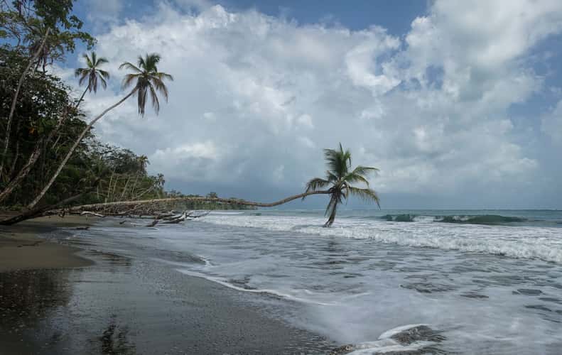 Cahuita National Park