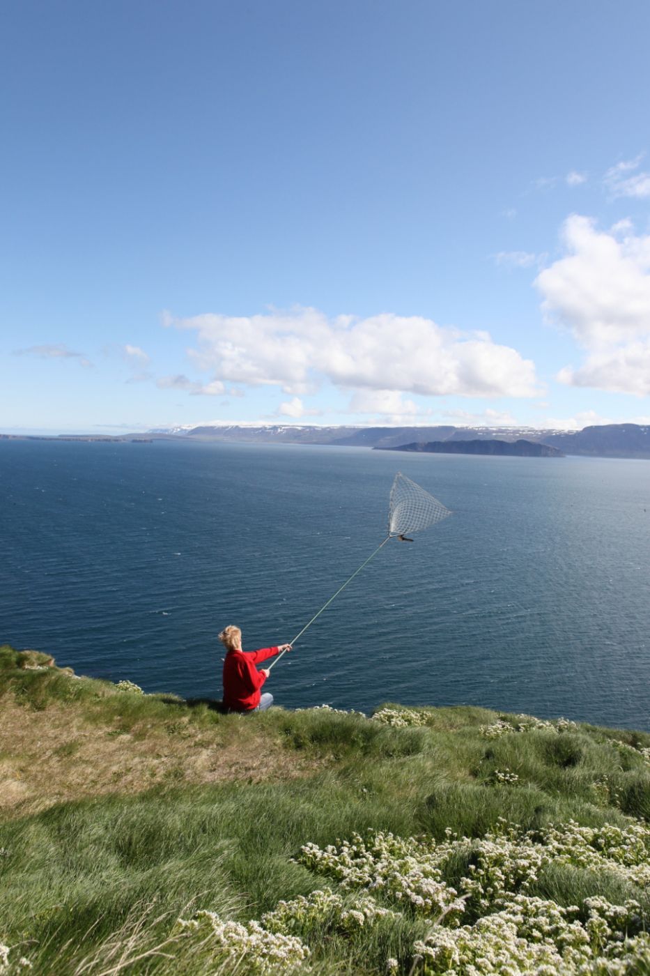 Catching Puffins, Iceland