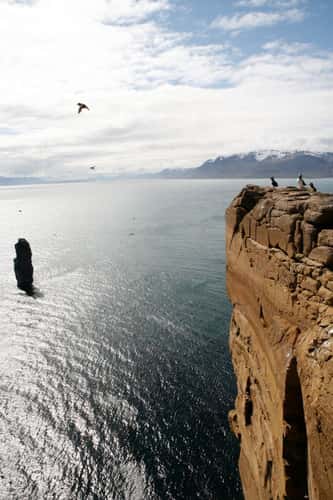 Catching Puffins
