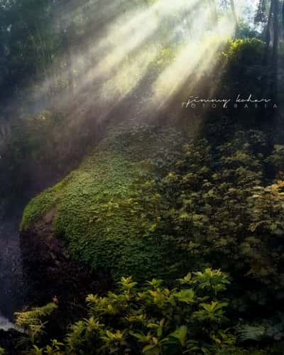 Curug Omas