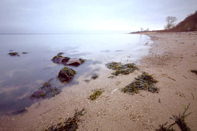 Eingang Eckernfördener Bucht