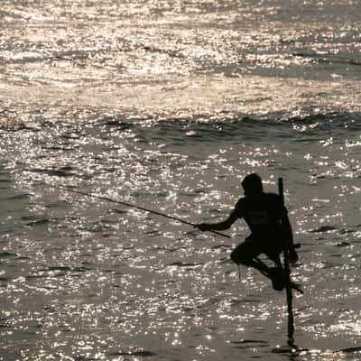 Fishing on a pole, Sri Lanka