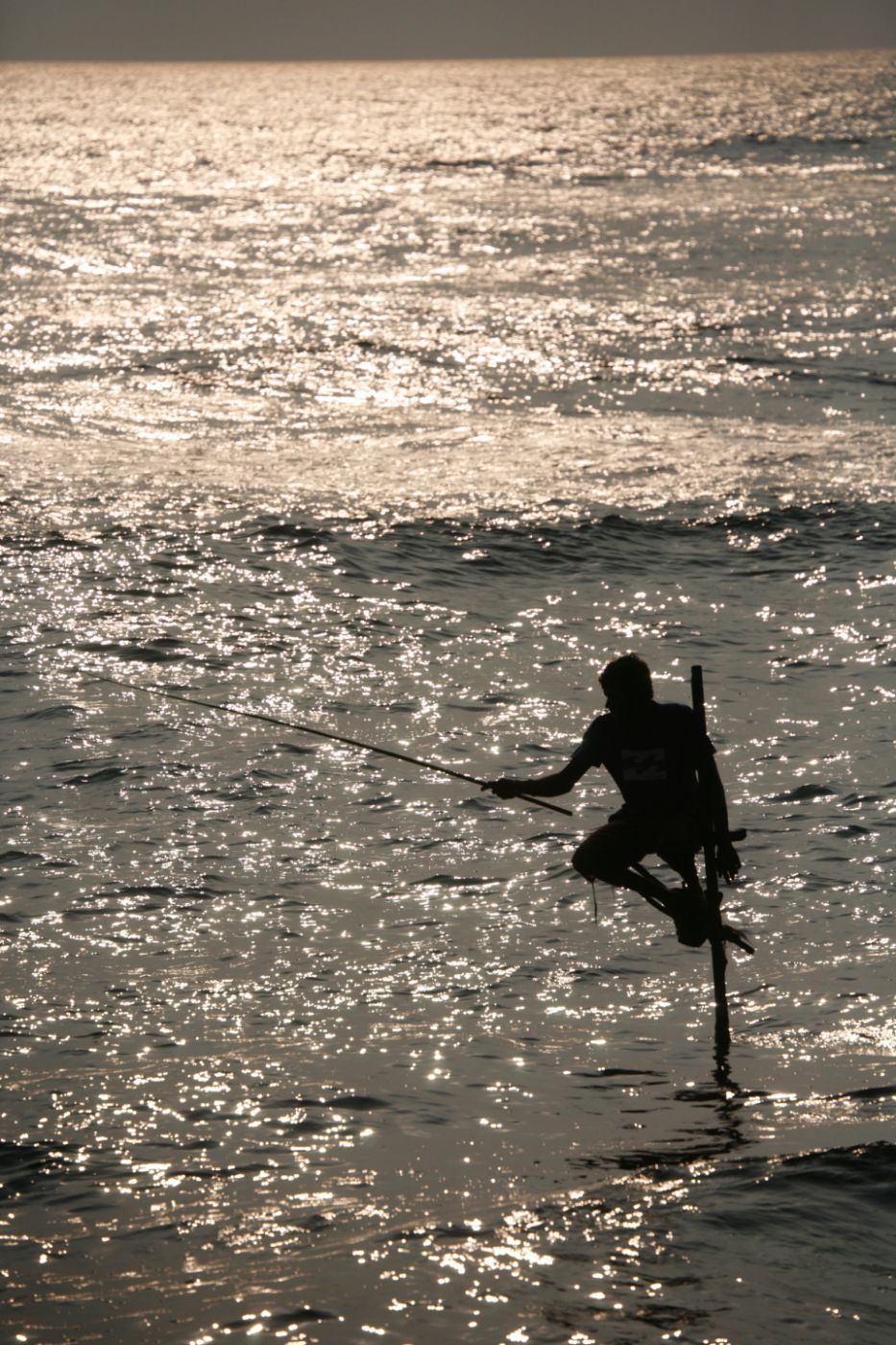 Fishing on a pole, Sri Lanka