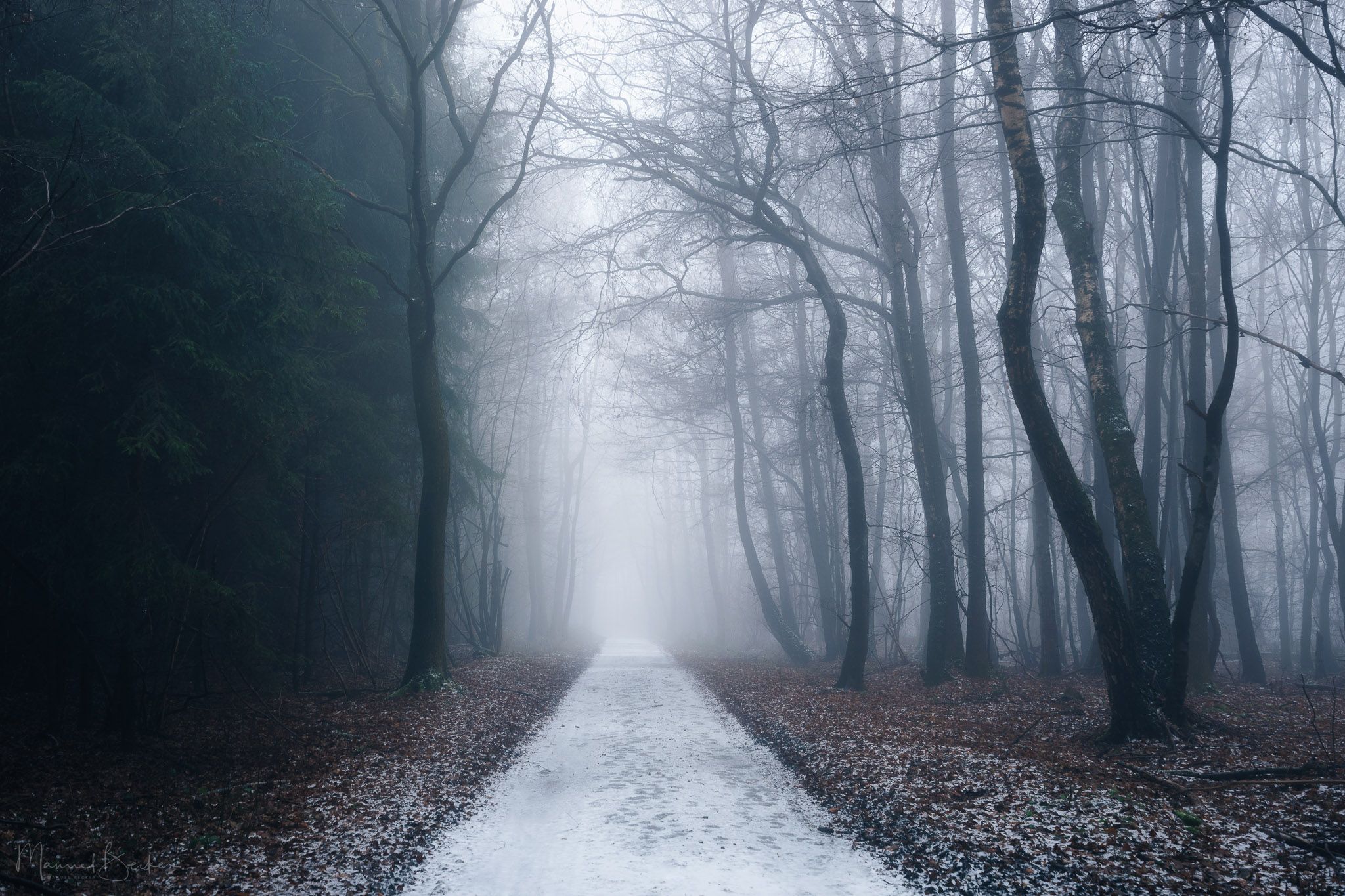 Forest between Asbach & Buchholz, Germany
