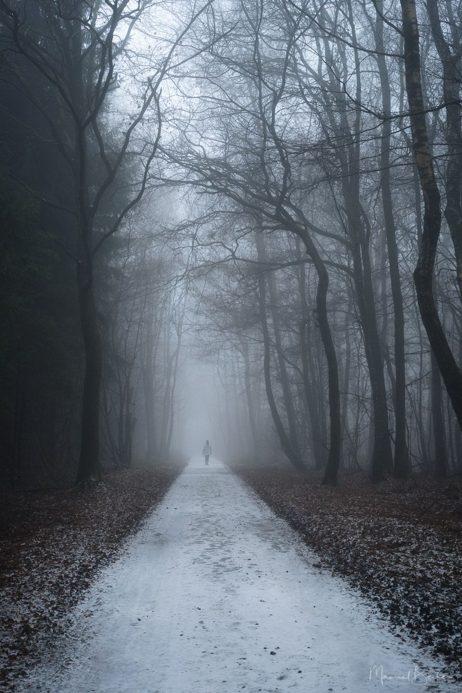 Forest between Asbach & Buchholz, Germany