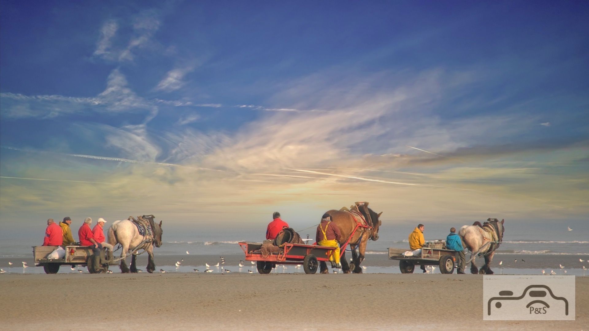 Garnaalvissers Oostduinkerke, Unesco Site, Belgium