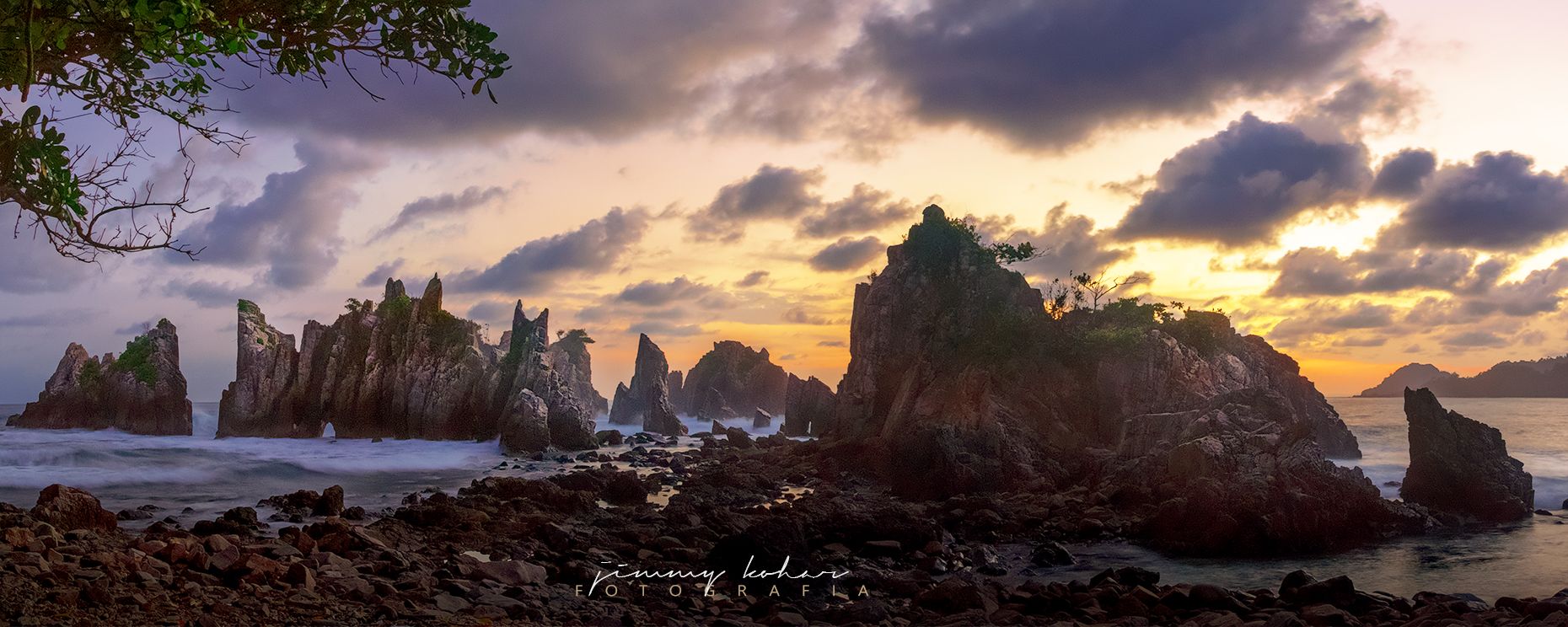 Gigi Hiu, Indonesia