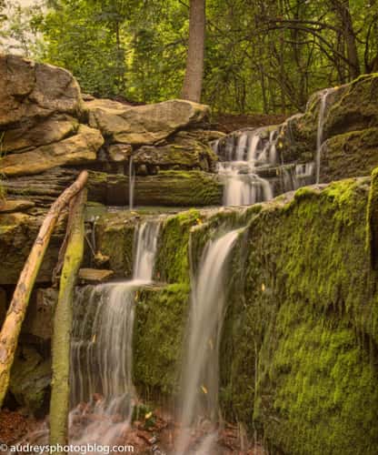 Hamilton escarpment