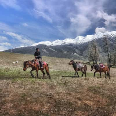 Kanas Grassland, China