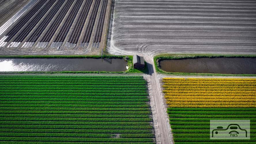 Keukenhof