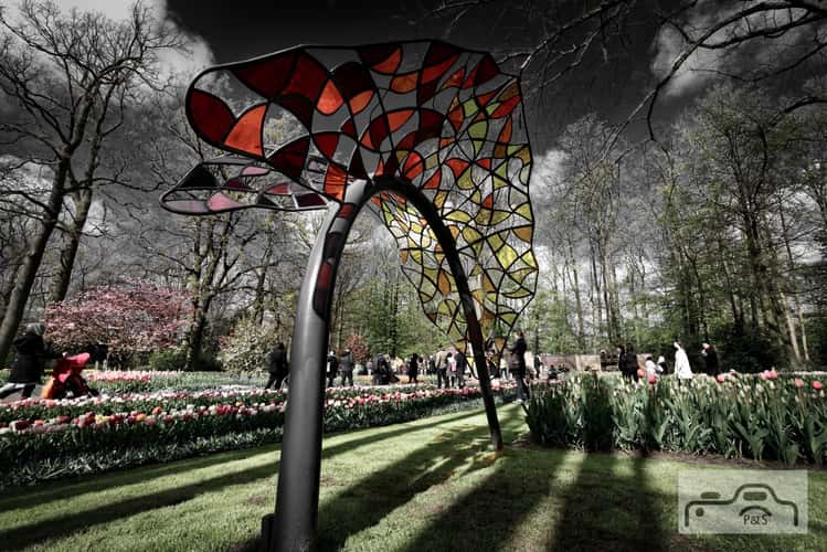 Keukenhof