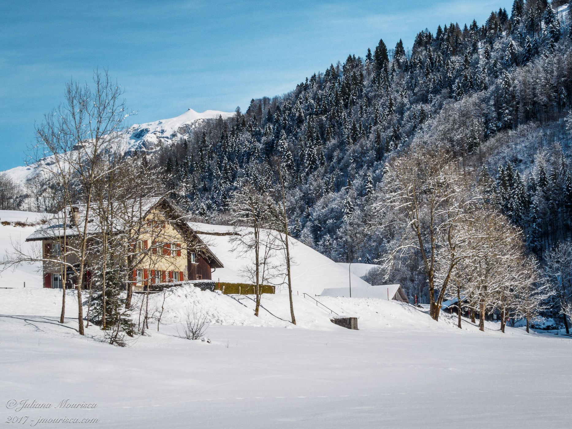 Klöntal, Switzerland, Switzerland