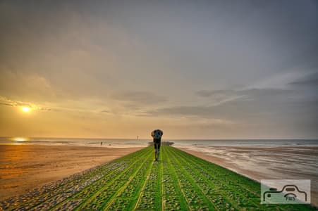 Knokke beach